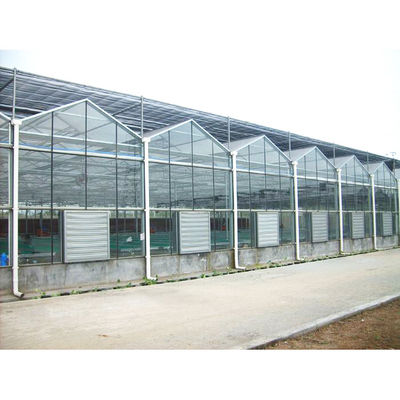 quality  Tomato Mushroom Growing with Commercial Hydroponic Systems Gothic Polycarbonate Cover Type Greenhouse factory