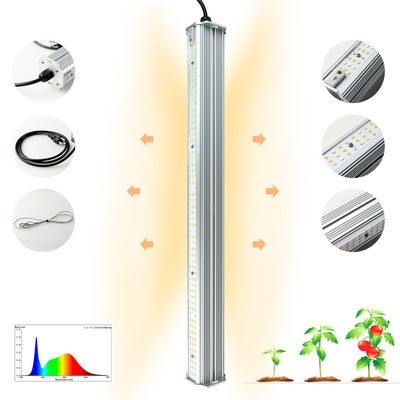 quality  4 Feet Professional Double Sided Light Full Spectrum Waterproof LED Hydroponic Tube Grow Light Bar factory