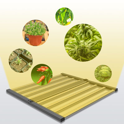 quality  Seed Seed Growing Full Spectrum 600W Indoor Plants Hydroponic Lamp Folding Greenhouse Lamp Dimmable 4x4 lm301h Led Grow Light factory