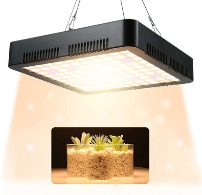 Seed Starting CE Certificate 1000w Grow Light For Canada Growing Plant Led