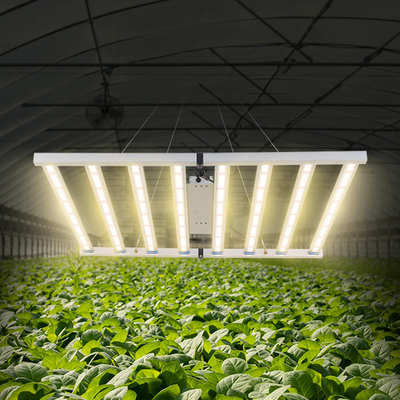 Seed Starting AC 110v 220v 1000w 600w 800w Indoor Plant Induction Smart Project Growing Lamp Led Grow Light For Medicinal Plant