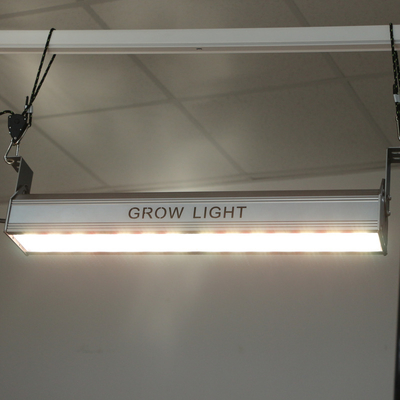 Seed Starting Hanging Horticulture Lighting Led Grow Light For Vegetables Greenhouse