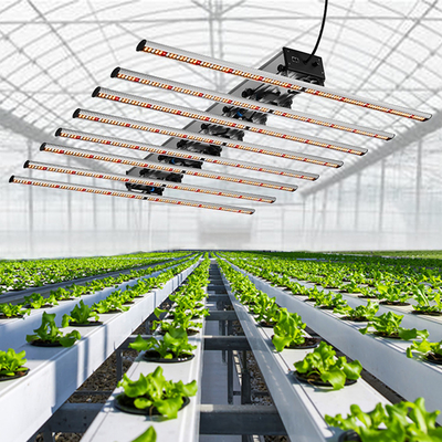 Seed Starting Full Spectrum Cob Led Grow Light For Medicinal Plants Veg And Flower 1000W LED Grow Light
