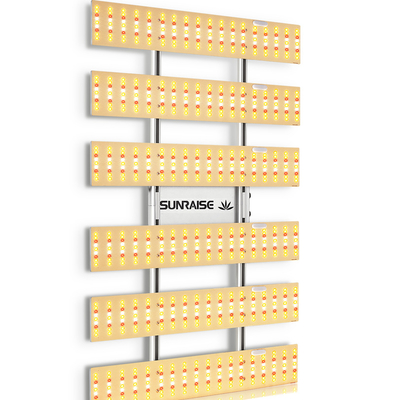 Seed Starting Current Free Shipping SUNRAISE US AU QB3000 With IR Coverage 300watt Daisy Chain Full Spectrum 4x4 Led Grow Light 4x4ft