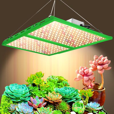 Seed Starting Diy Full Speccrum LED Grow Light 1000W 2000W 3000W 4000W IR UV Led Plant Grow Light Bar For Vertical Farm / Indoor Plants