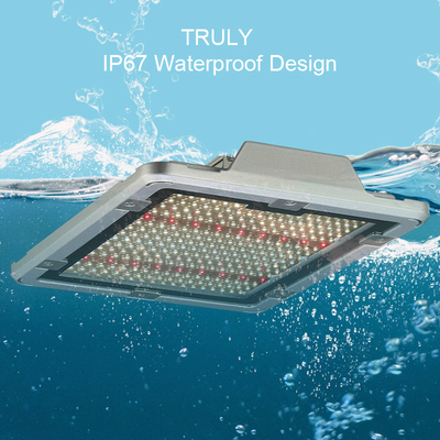 Factory Wholesale 600W Indoor Starting Seed Led Grow Light SANAN SMD2835&amp;2835 660NM Hydroponic Full Spectrum Grow Light
