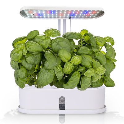 Modern Smart Hydroponics Growing System , Indoor Herb Garden Starter Kit With LED Grow Light
