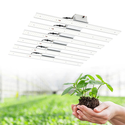 Seed Starting lm301b Indoor Greenhouse Plant Lamp Wholesale 200W 300W 400W 600W Dimmable LED Grow Light