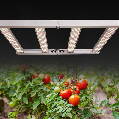 Seed starting greenhouse 1000w lm301b full spectrum IR UV meanwell grow lights indoor rosh grow light