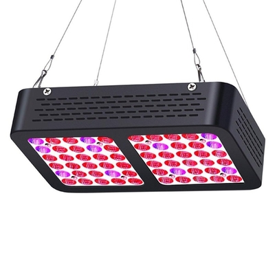 Seed Starting 10w Epileds Led , Full Spectrum High Power 600 Watt Led For Growing Light Hydroponics Greenhouse
