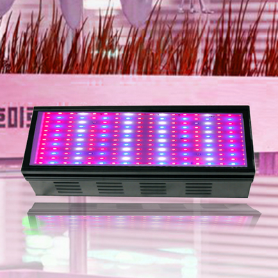 Seed Starting USA Horticulture Indoor Garden Stock Hydroponic Spectrum Full Waterproof Cheap Grow Lights Led Grow Light For Indoor Plants