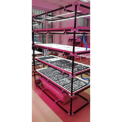 Stainless Steel or Plastic Plastic Growing Seeds Nursery Forage Wholesale Start System Microgreen Seedling Plant Growing Hydroponic Tray Holder