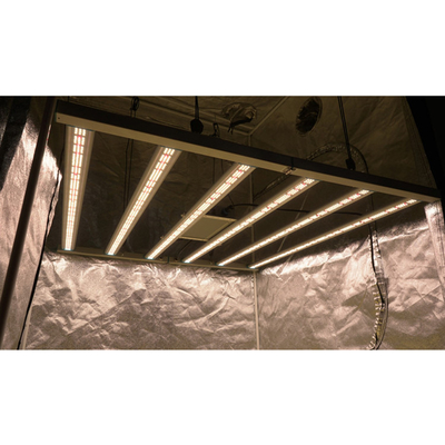 Seed Starting Led Customization Grow Light Full Spectrum Indoor Plant , Samsung Lm301B Indoor Plant Spider Led Grow Light