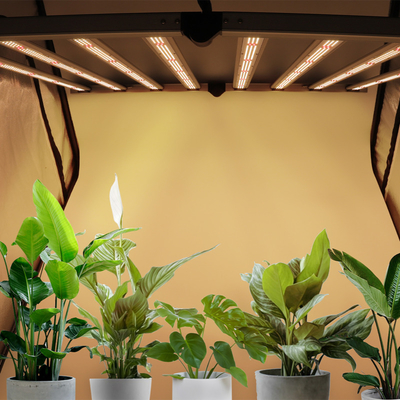 VEG+BLOOM+COB Etl Dlc 2.8 Umol/J Bars 720W 6 8 Bars Lm281B Lm301B Lm301H 660Nm Grow Light Led Foldable Bar 600W Led Grow Lights
