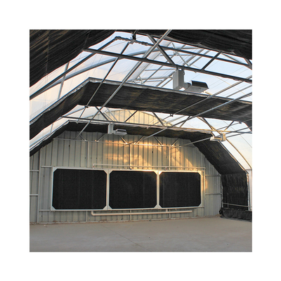 Stable Structure Easily Assembled Commercial Greenhouse Plant Greenhouse Growing Light Dep Greenhouse