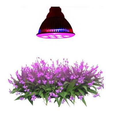 2020 Green House Factory Direct Hot Sale 12w 24w Available Led Grow Light Bulb