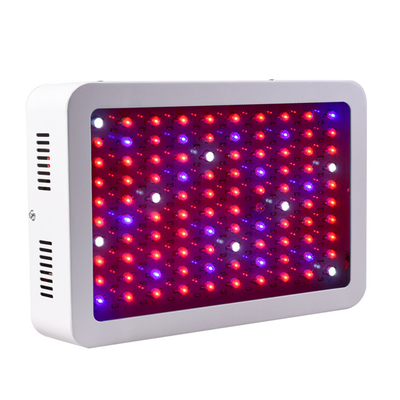 Fruit Vegetable Greenhouse Flower Growing Lights Aluminum 1000w Cob Led Growing Light For Indoor Plants