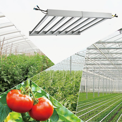 Seed Starting Commercial Grow Light Cultivation Dimmable Waterproof Folding Medicinal Plant Led To Grow Light Indoor Plants