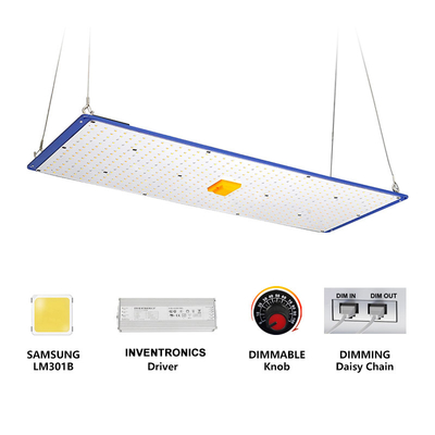 Seed Starting 2021 Hot Sales Nb240 Plus Watt 240W Dimmable Strong Full Spectrum Ppfd Led Grow Lights QB288 For Greenhouse