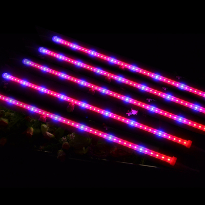 Fruit vegetable greenhouse flower Pitaya growing lights and plant use red and blue led tube lighting type 120 degree t5 15w fixture full spectrum led grow light