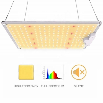 Seed Starting 110W Spider SF1000 LED Grow Light , Samsung lm301b lm301h Full Spectrum Plant Lights