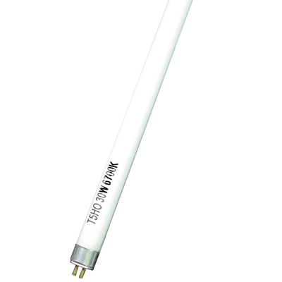 Flowering/seeding/breeding plant stage T5 ho 30W 6700K t5 t5 Samsung lm301h growlights ho led tube to replace 30w t5 ho fluorine