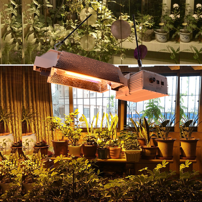 Current High Power In USA 1000W Dimmable 97% Reflectance HID Double Finished HPS Light To Grow Light For Hydroponic Plant DE Fixture